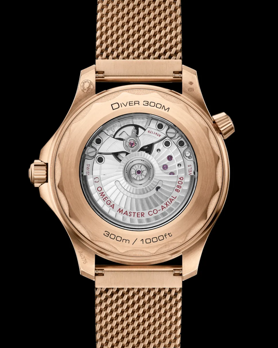 42 mm, Bronze gold on Bronze gold