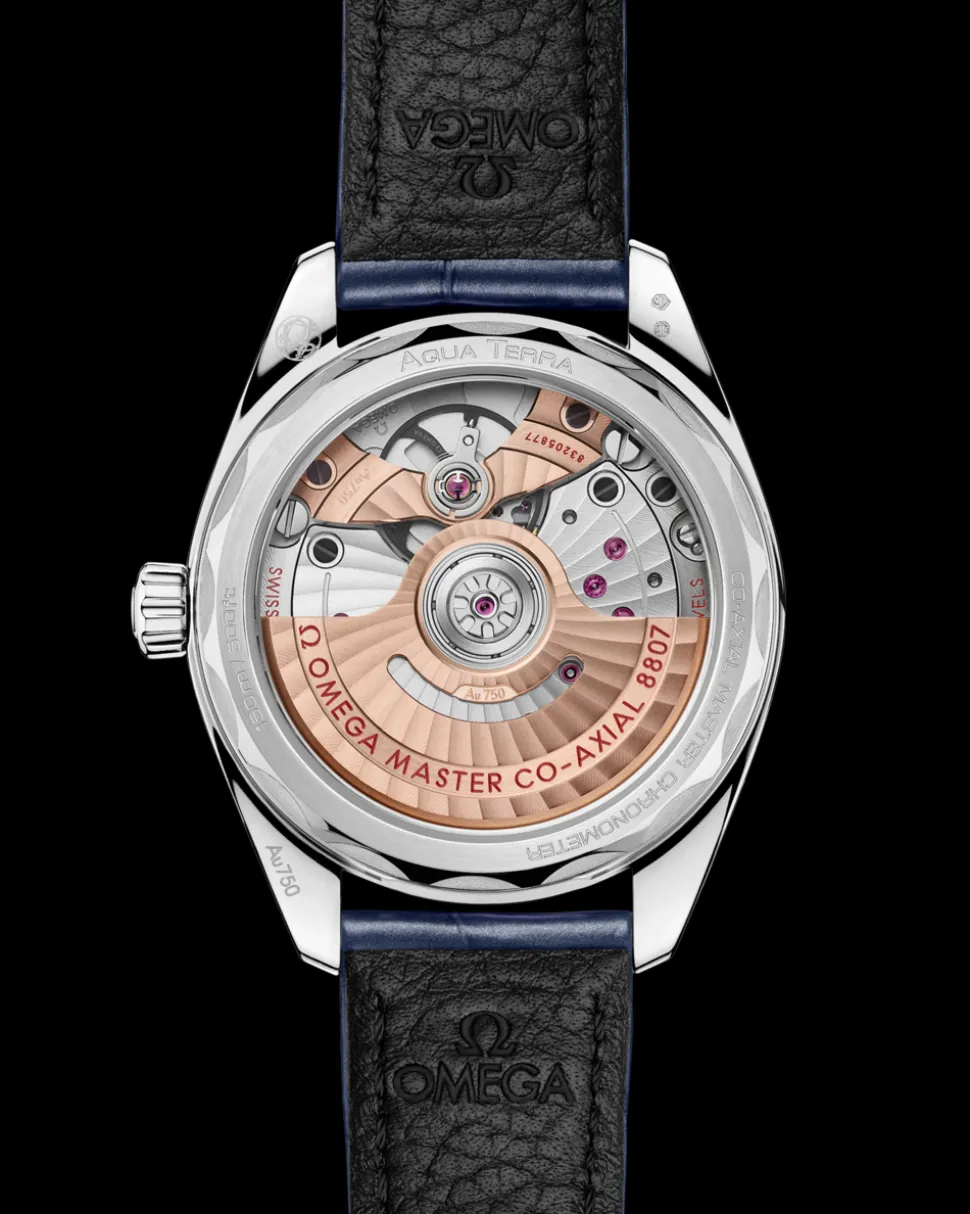 34 mm, Canopus Gold™ on alligator