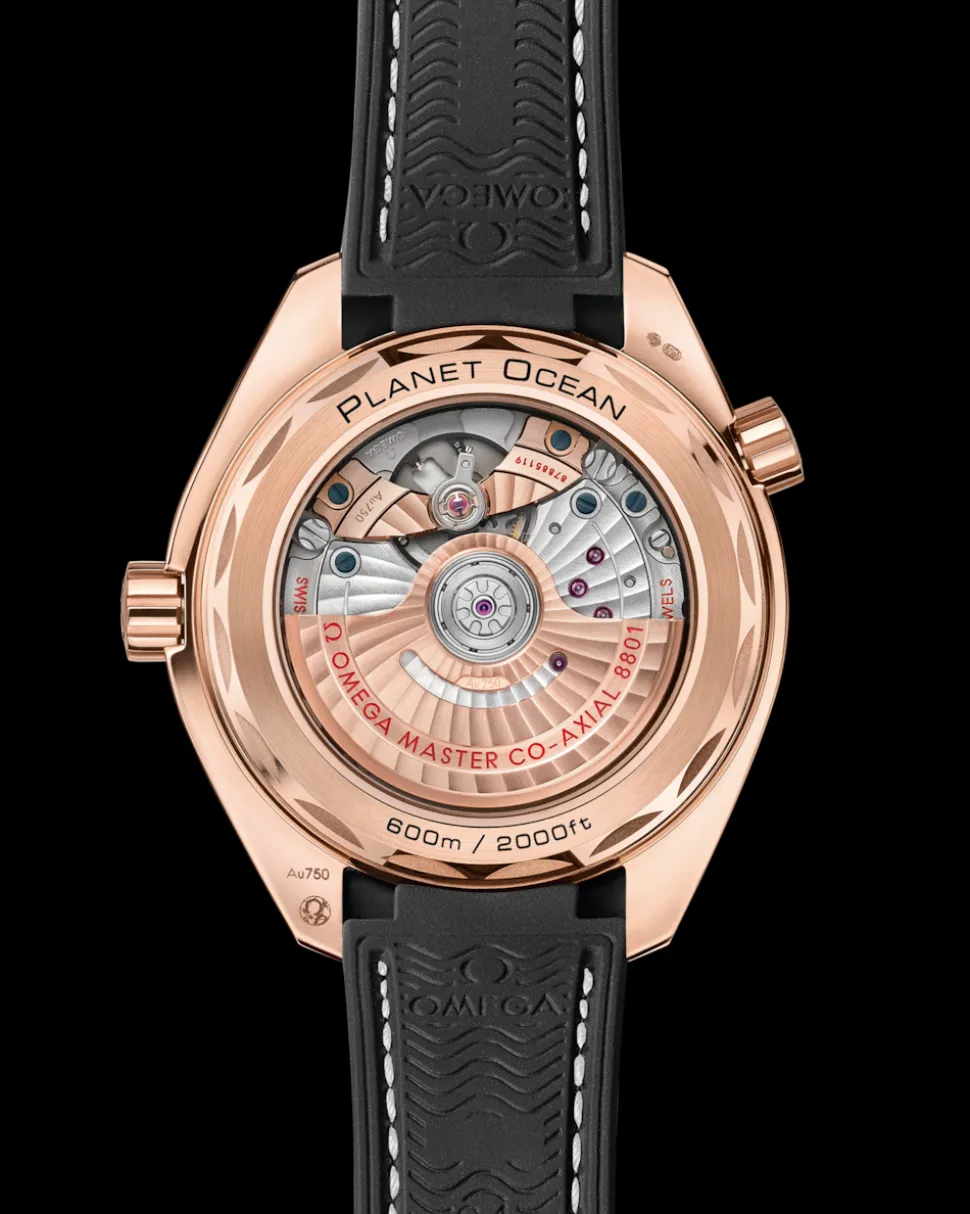 39.5 mm, Sedna™ gold on leather strap with rubber lining
