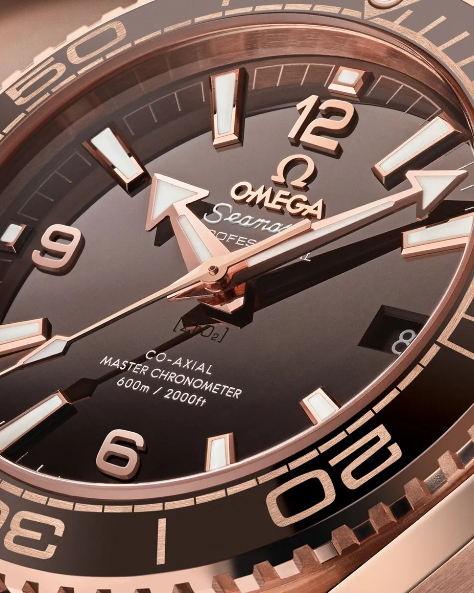 39.5 mm, Sedna™ gold on leather strap with rubber lining