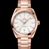 41 mm, Sedna™ gold on Sedna™ gold