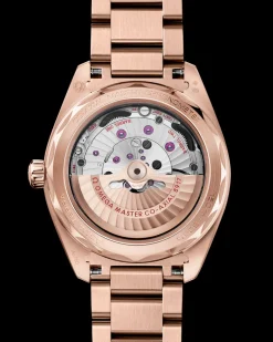 41 mm, Sedna™ gold on Sedna™ gold