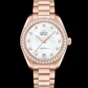 34 mm, Sedna™ gold on Sedna™ gold