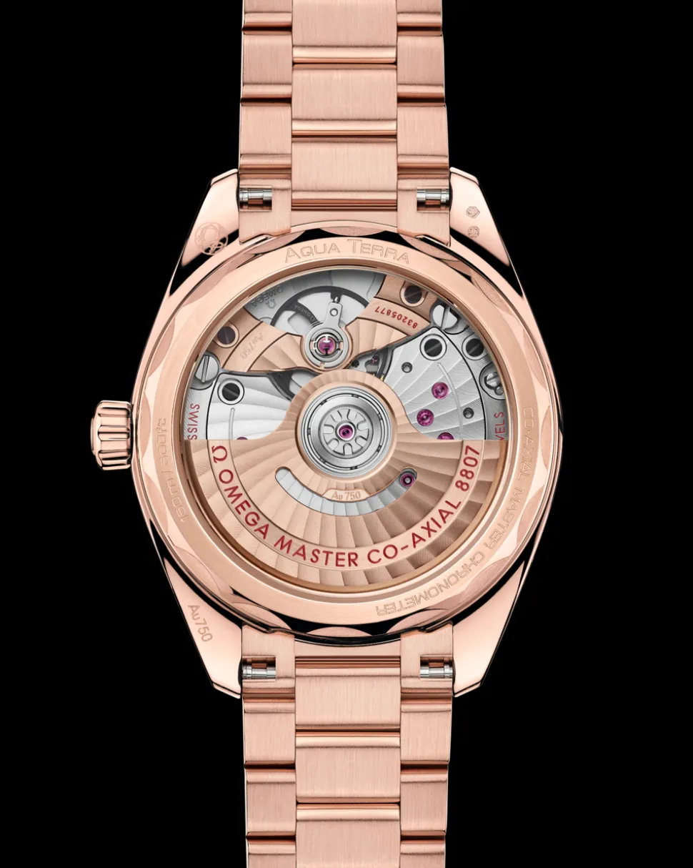 34 mm, Sedna™ gold on Sedna™ gold