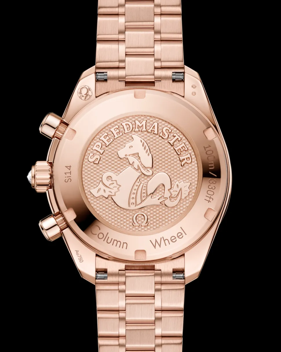 38 mm, Sedna™ gold on Sedna™ gold