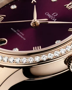 34 mm, Sedna™ gold on Sedna™ gold