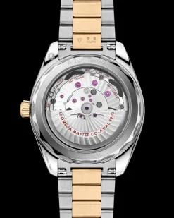 41 mm, steel ‑ Moonshine™ gold on steel ‑ Moonshine™ gold
