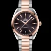 41 mm, steel ‑ Sedna™ gold on steel ‑ Sedna™ gold