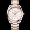 41 mm, steel ‑ Sedna™ gold on steel ‑ Sedna™ gold