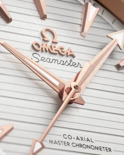 41 mm, steel ‑ Sedna™ gold on steel ‑ Sedna™ gold