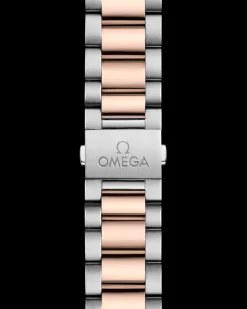 41 mm, steel ‑ Sedna™ gold on steel ‑ Sedna™ gold