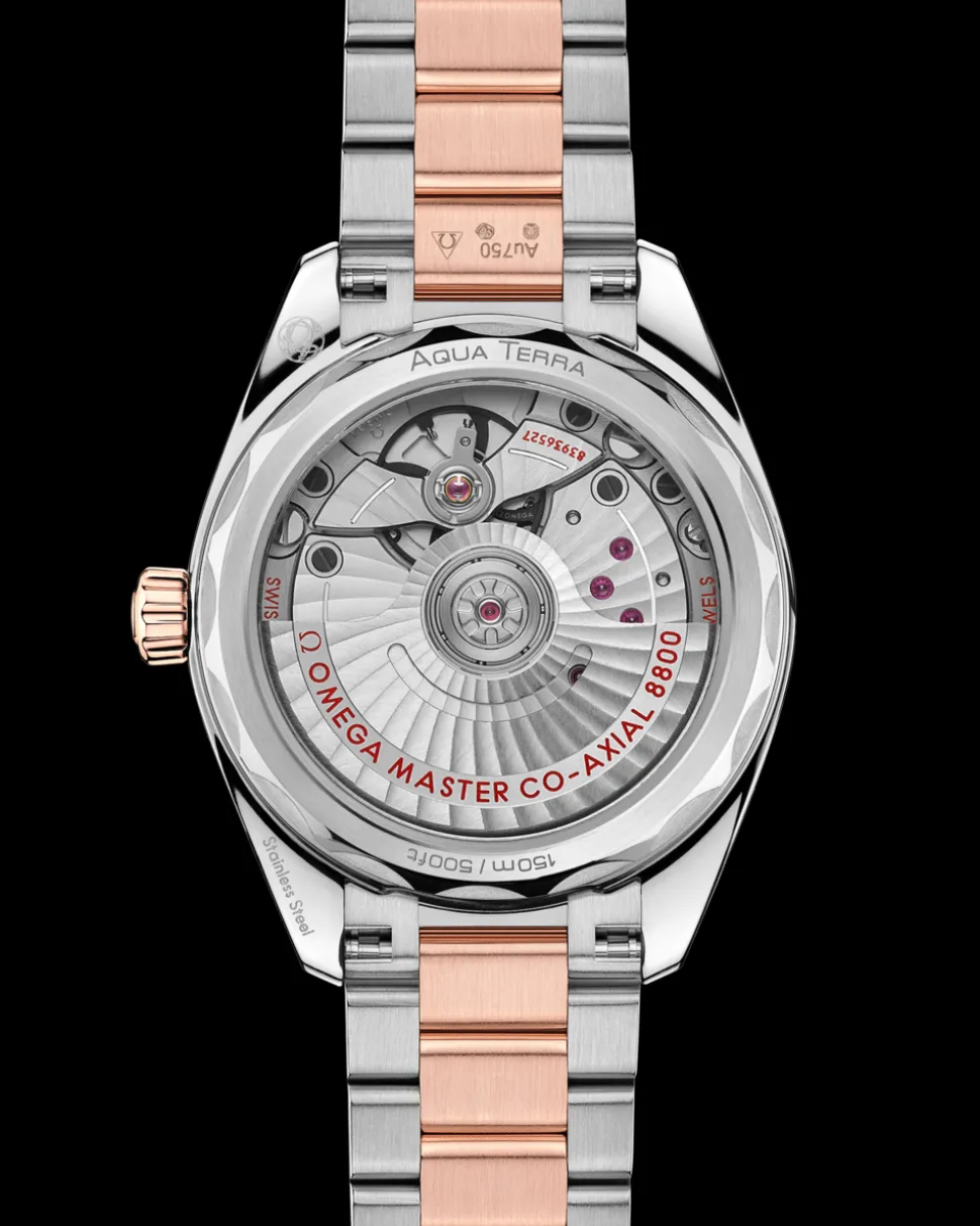 34 mm, steel ‑ Sedna™ gold on steel ‑ Sedna™ gold
