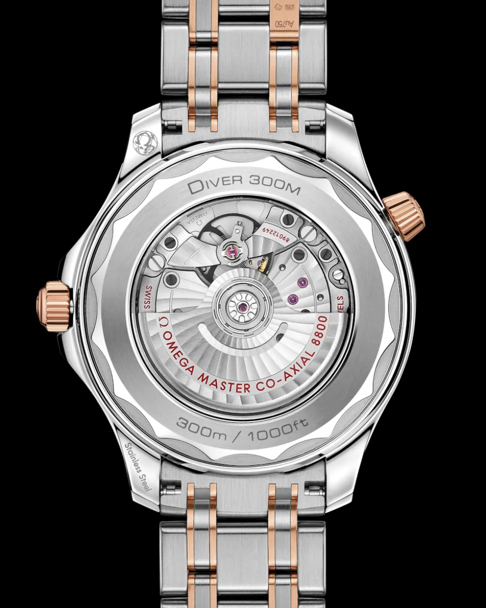 42 mm, steel ‑ Sedna™ gold on steel ‑ Sedna™ gold