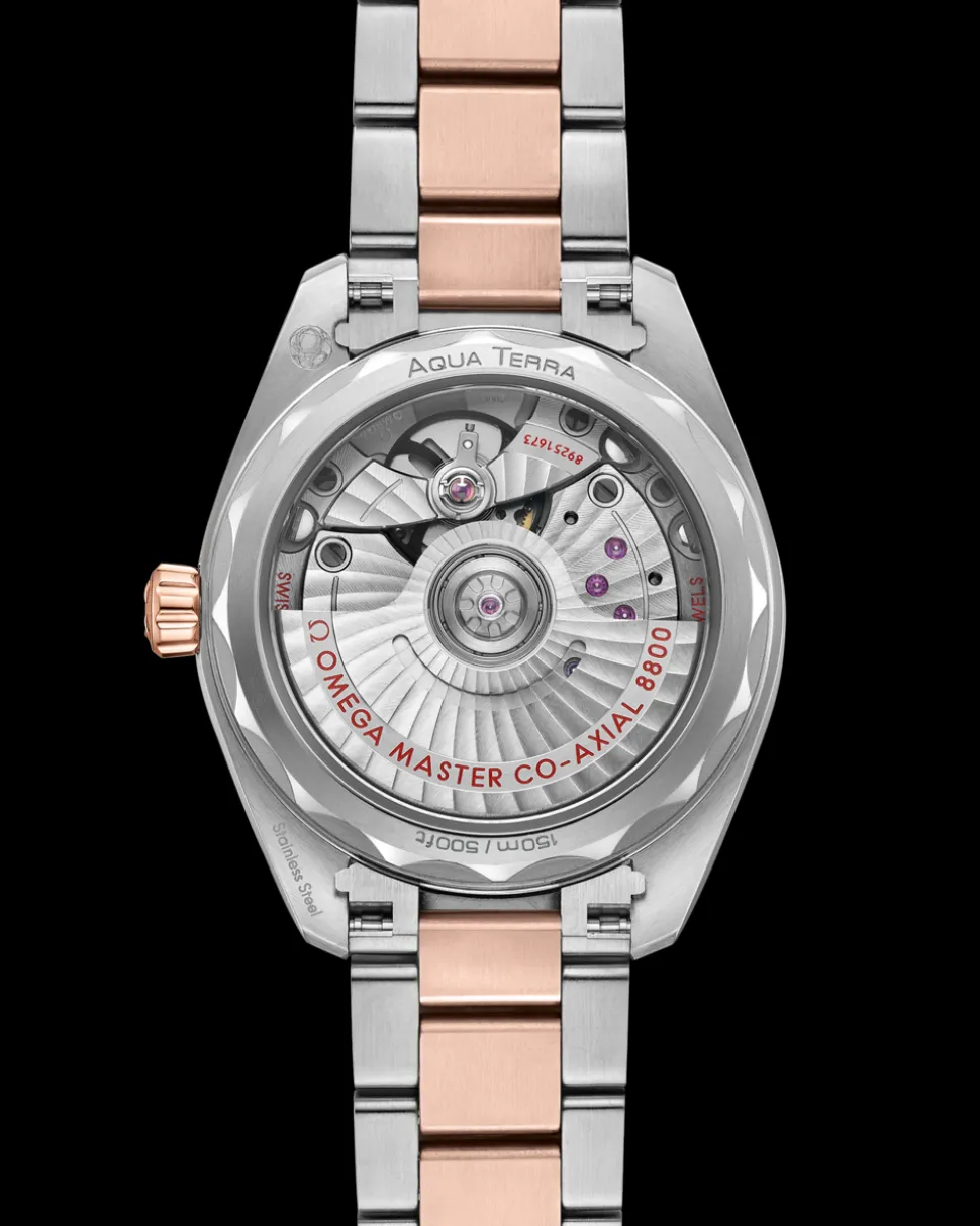 34 mm, steel ‑ Sedna™ gold on steel ‑ Sedna™ gold