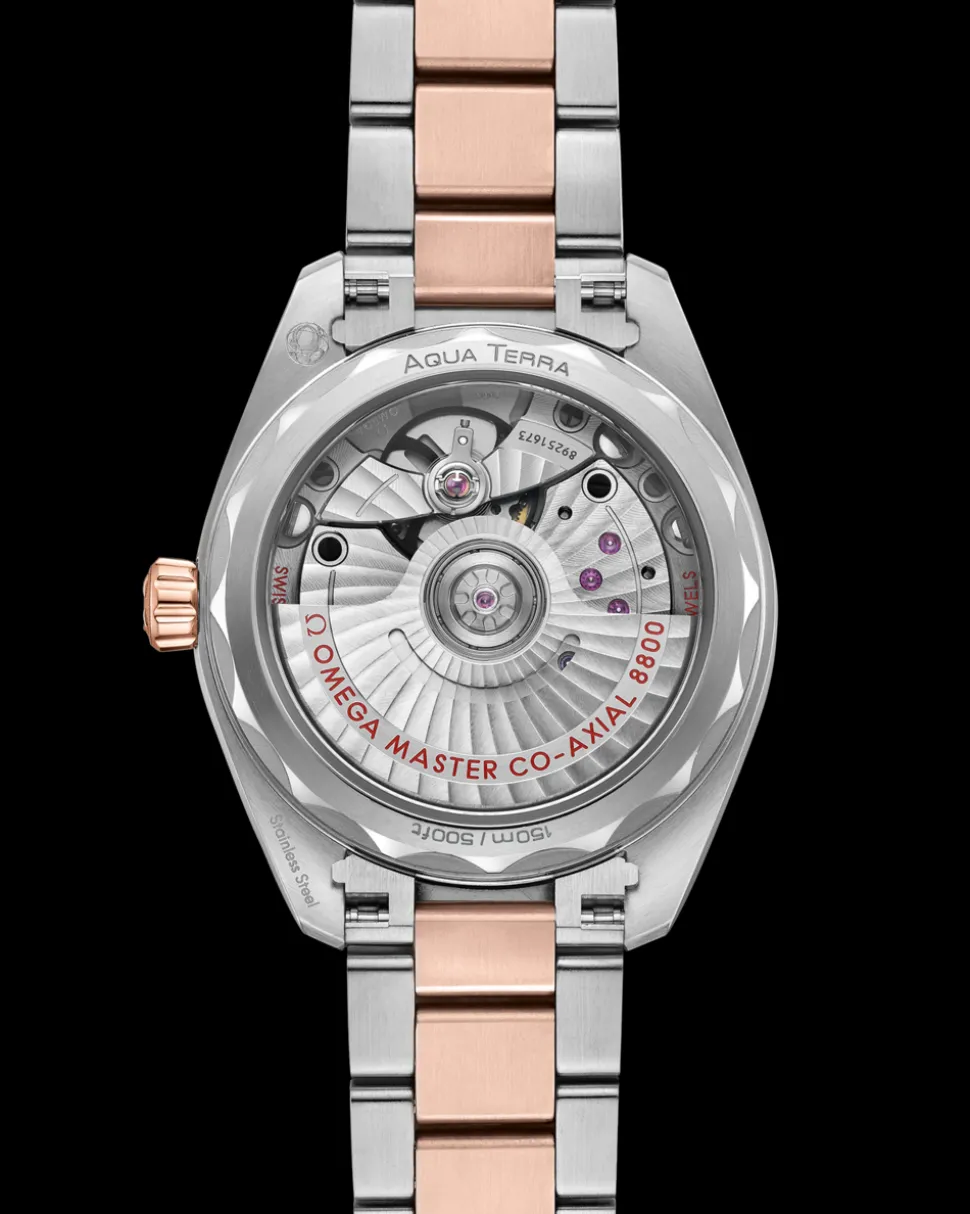 34 mm, steel ‑ Sedna™ gold on steel ‑ Sedna™ gold