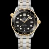 42 mm, steel ‑ yellow gold on steel ‑ yellow gold