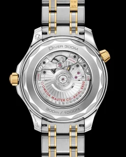 42 mm, steel ‑ yellow gold on steel ‑ yellow gold