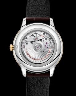 41 mm, steel ‑ yellow gold on leather strap