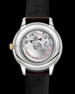 41 mm, steel ‑ yellow gold on leather strap