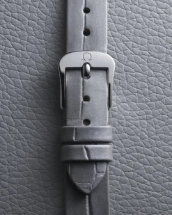 26 mm, steel on alligator