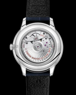 41 mm, steel on leather strap