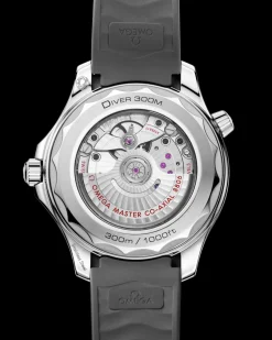 42 mm, steel on rubber strap