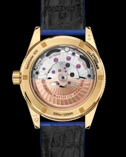 41 mm, yellow gold on leather strap