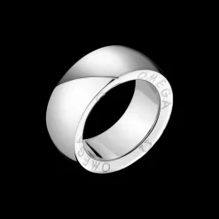 Ring, stainless steel